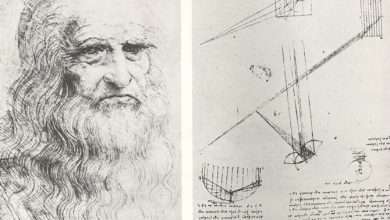 Photo of 10 sự thật thú vị về Leonardo da Vinci