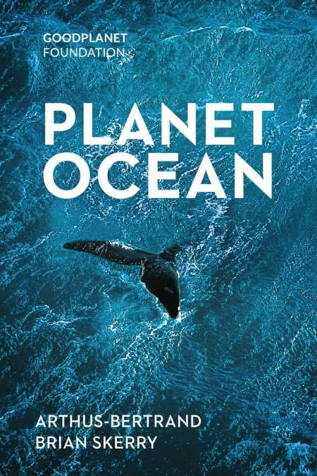 phim Planet ocean 9 phim hay về đại dương sâu thẳm